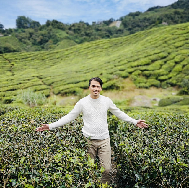 Rolling Green Paradise: The Beauty of Cameron Highlands’ Tea Fields