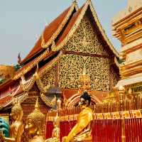 Ascending to Serenity: A Day at Wat Phra That Doi Suthep