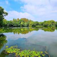 A Perfect Day at West Lake, Hangzhou: Scenic Serenity Awaits!