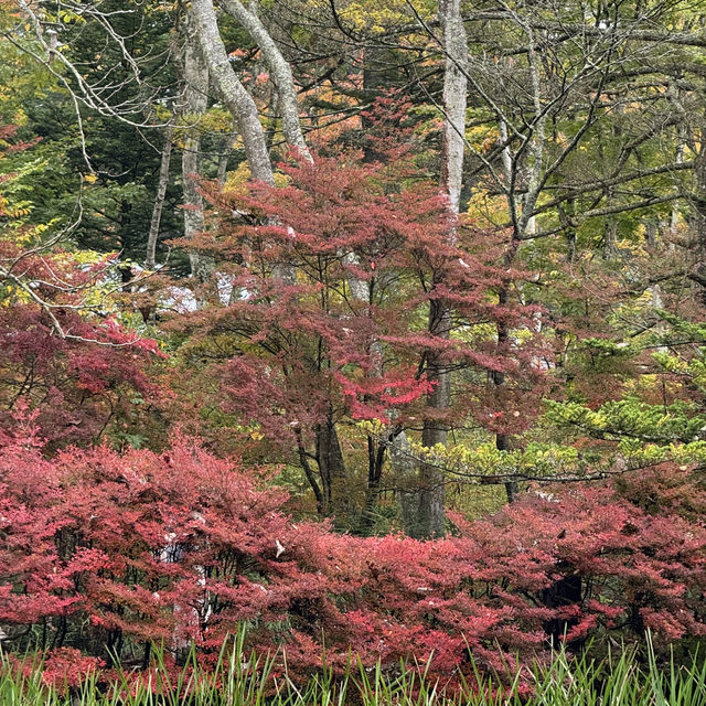 Karuizawa- Vibrant Nature meets Serene Luxury