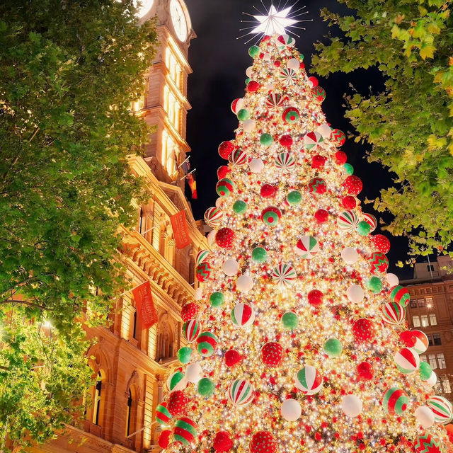 Summer Christmas: Exploring Sydney’s Festive Magic Under the Sun