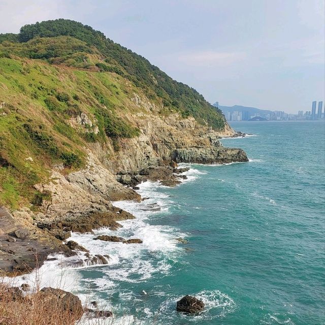 เที่ยวเกาะ 🏝 Oryukdo Island @Busan