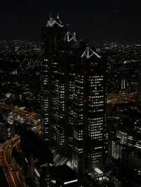 Sky-High Views at Tokyo Metropolitan Government Building Observatory