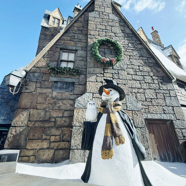 A Magical Christmas at Hogsmeade Village Orlando 🇺🇸