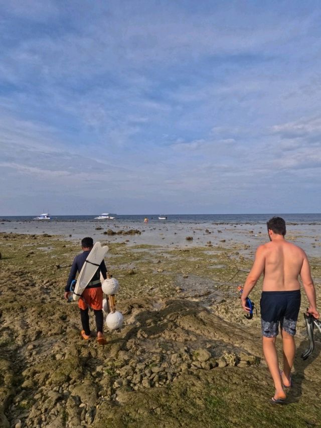 Moalboal 🇵🇭 Sardine Storms