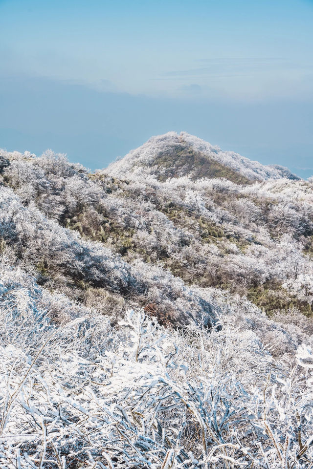 杭州初雪市區一小時可達的鸬鳥山賞雪攻略