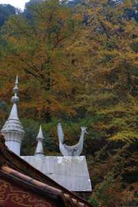 大邑白岩寺。