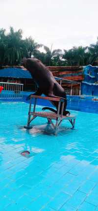 走進香市動物園，開啟一場奇妙的動物王國之旅。