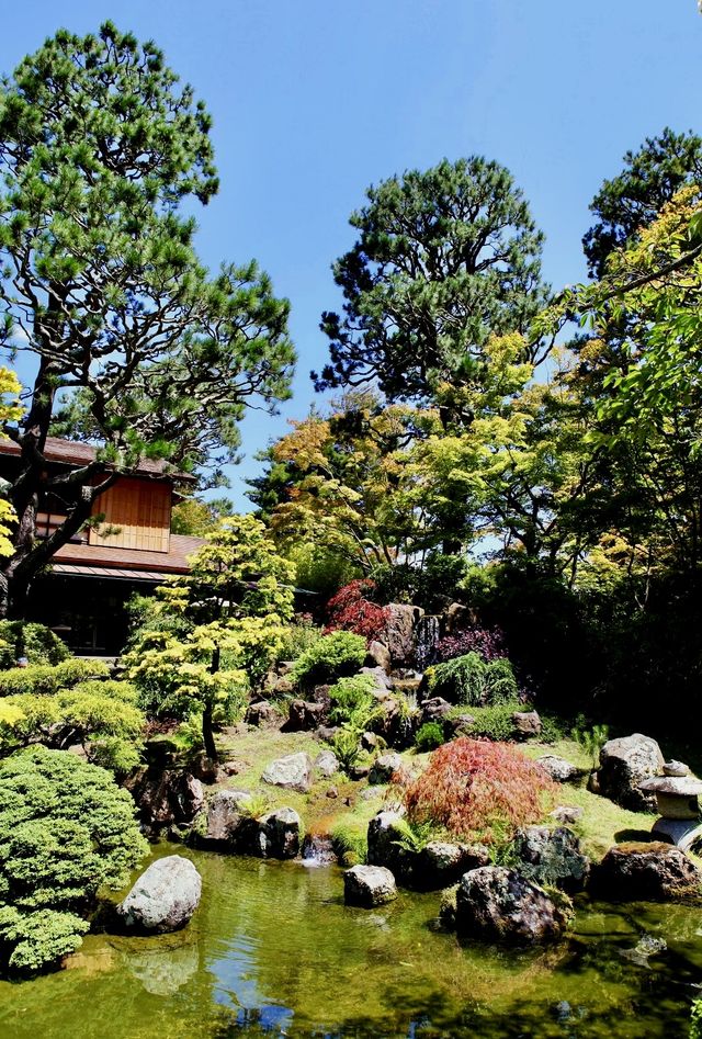 禪意流轉：舊金山日本茶園的寧靜之美