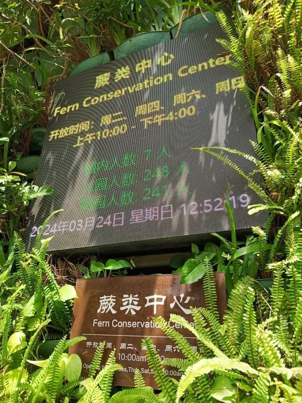 仙湖植物園的蕨園緊鄰弘法寺