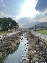 鄉村路上的風景線|銀坑村