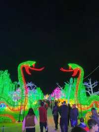 Experience the Magic of ILLUMI Light Show This Year