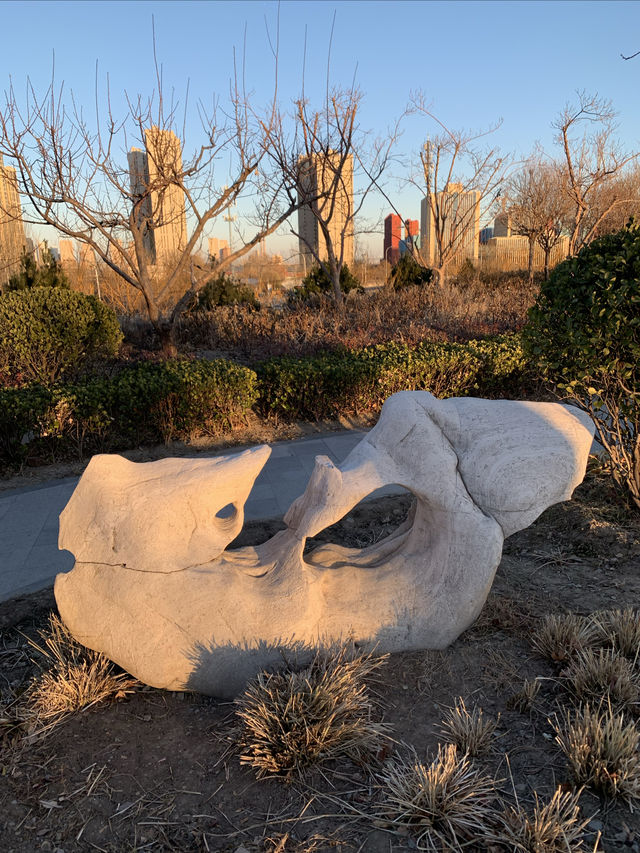 窯洼湖公園 西園