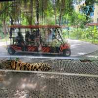 Pattaya Tiger Park