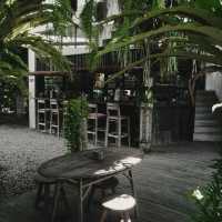 NEST COFFEE & DONUTS | AESTHETIC COFFEE SHOP IN YOGYAKARTA