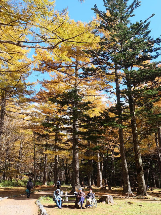 Autumn in Kamikochi ใช้คำว่าสวยได้เปลืองมาก🍁🍂