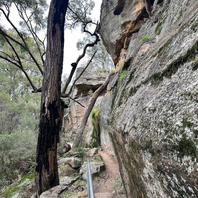 The Drip Gorge, New South Wales