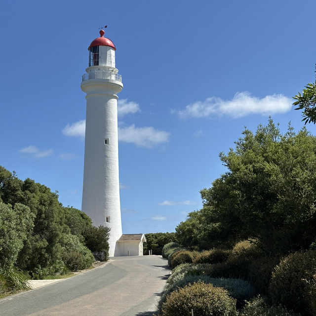 Coastal Bliss: A 2-Day Great Ocean Road Escape to Paradise