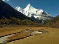 Best Autumn Viewing Experience 1/3 [Luorong Pasture, Yading Nature Reserve]