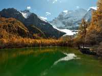 Best Autumn Viewing Experience 2/3 [Xiannairi Snow Mountain, Yading Nature Reserve]