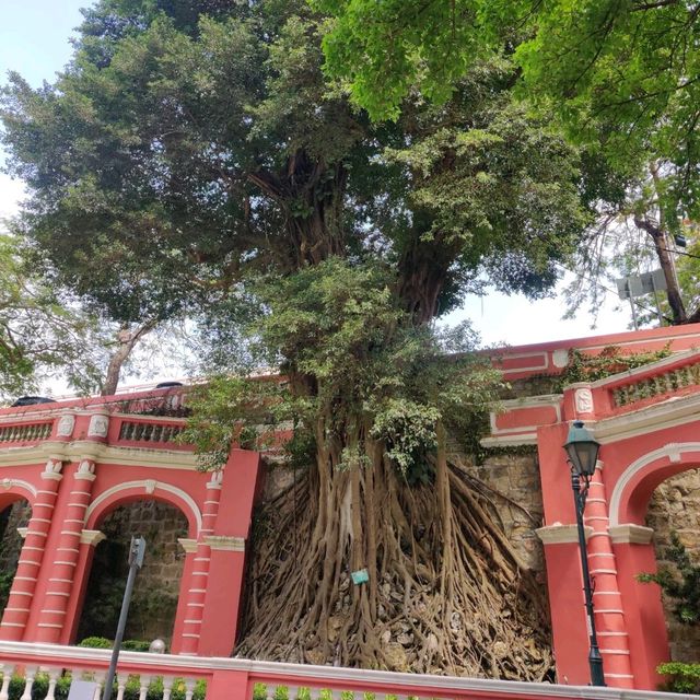 🇲🇴🔝Macao - Ruins of St.Paul's-Must see🔝