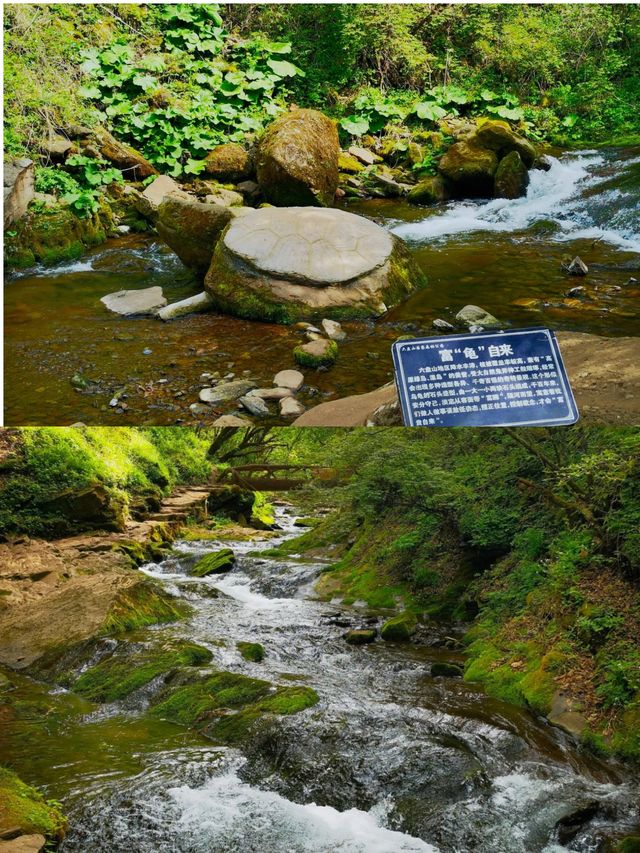 六盘山國家森林公園