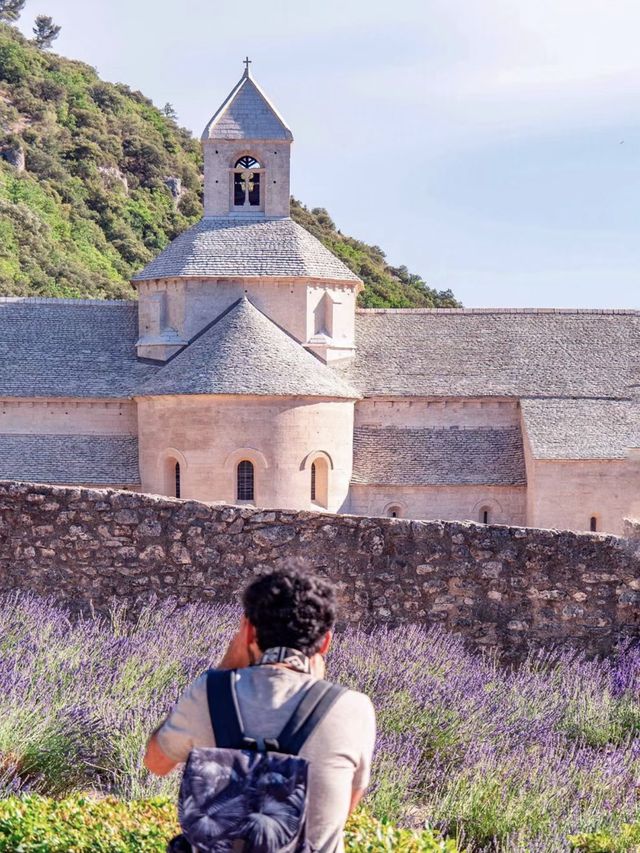 南法普羅旺斯薰衣草旅行