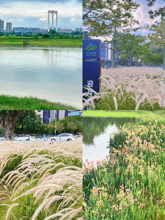 佛山也有自己的莫奈花園，簡直美了