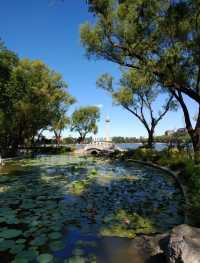 走進玉淵潭公園，邂逅浪漫花海