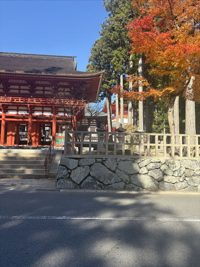 高野山——避開人流，和歌山縣的賞楓好地。