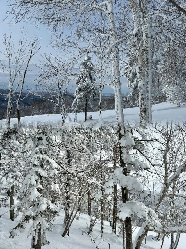 探秘雪谷，在寒冷的冬季，看到了冬日裡純淨世界