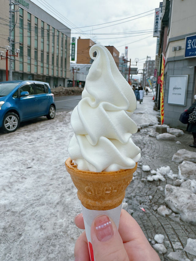 北海道之行精彩瞬間