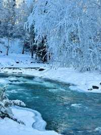 這個冬天一定要去阿勒泰看雪