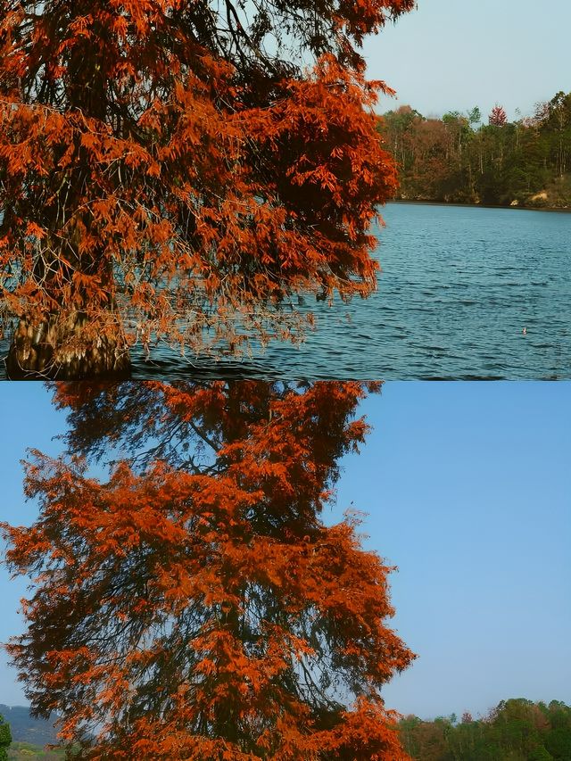 蘭溪一日遊：江浙滬周末休閒好去處