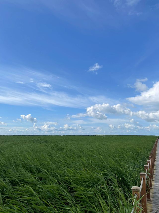 冬日呼倫貝爾等地遊玩攻略錯過等一年