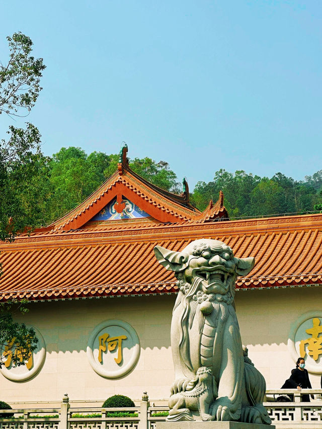 💖 珠海普陀寺，心靈的淨土 💖