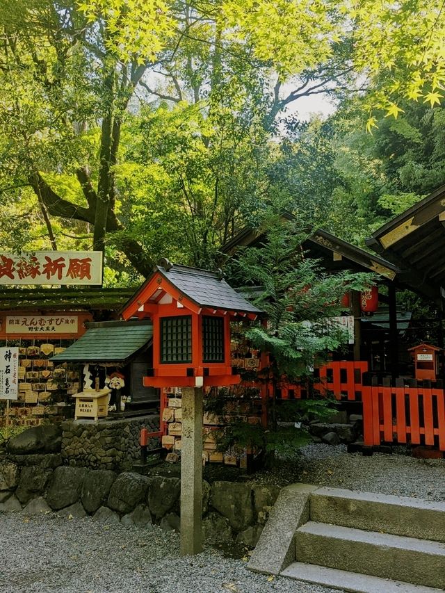 Kimono experience in the bamboo forest! 🎍