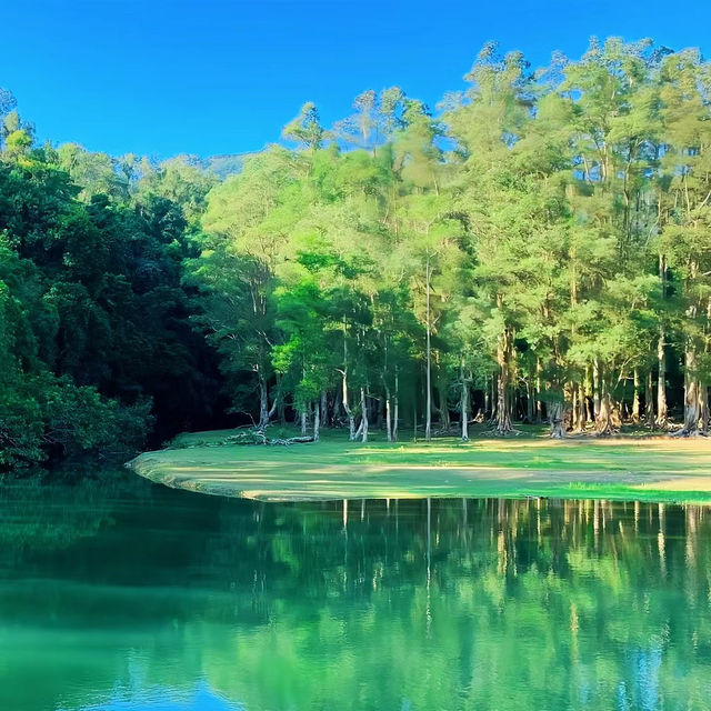 十和田湖：春天好去處，感受大自然的澄淨魅力