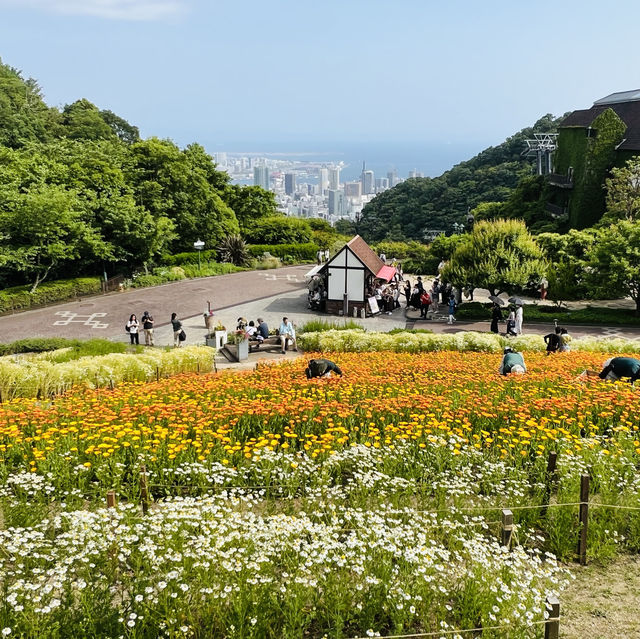 神戸布引ハーブ園