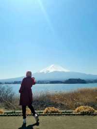 LOVE IN TOKYO, BLOOM IN FUJIYAMA