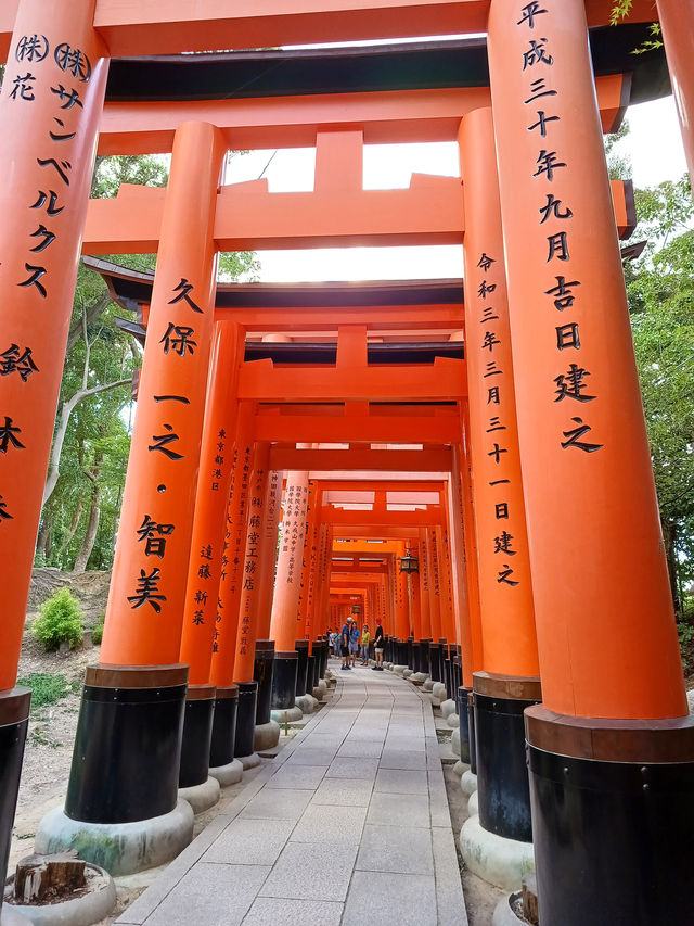 京都景點｜超壯觀千本鳥居—京都伏見稻荷大社—藝妓回憶錄