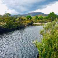 Nature's Nirvana: Cradle Mountain's Enchanting Escape