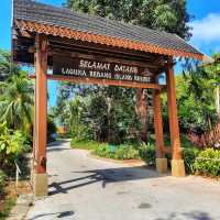 🇲🇾 Escape to Sea Bliss at Laguna Redang Island Resort