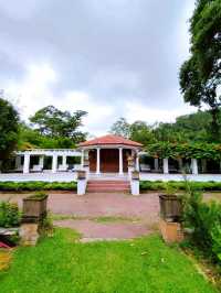 Peaceful Stroll at Penang Botanic Gardens 