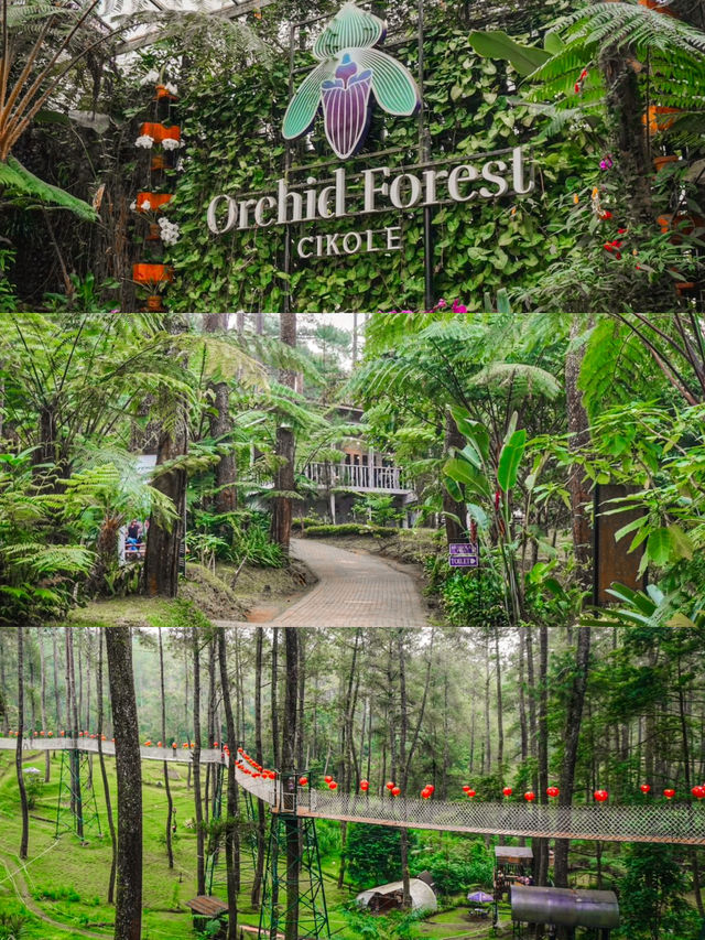 Discover the Magic of Orchid Forest Cikole 