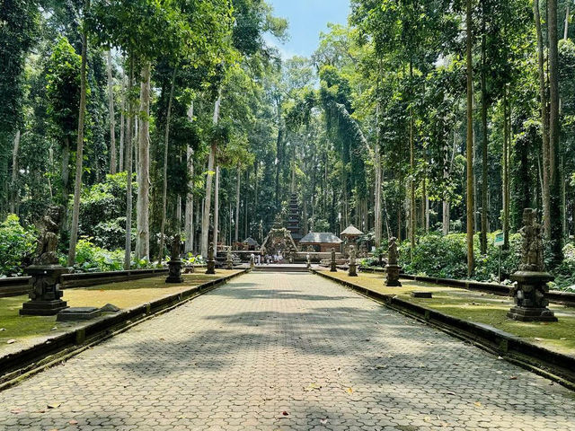 Immersed in Nature at Sangeh Monkey Forest