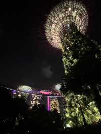 A futuristic Garden - Gardens by the Bay: Spectacular Fusion of Nature and Technology