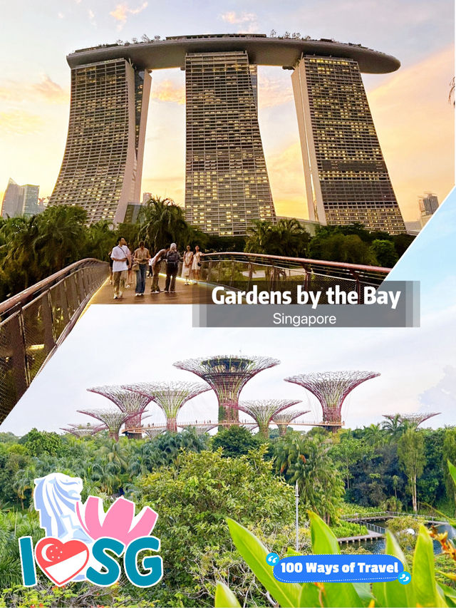 Discover the Beauty of Gardens by the Bay