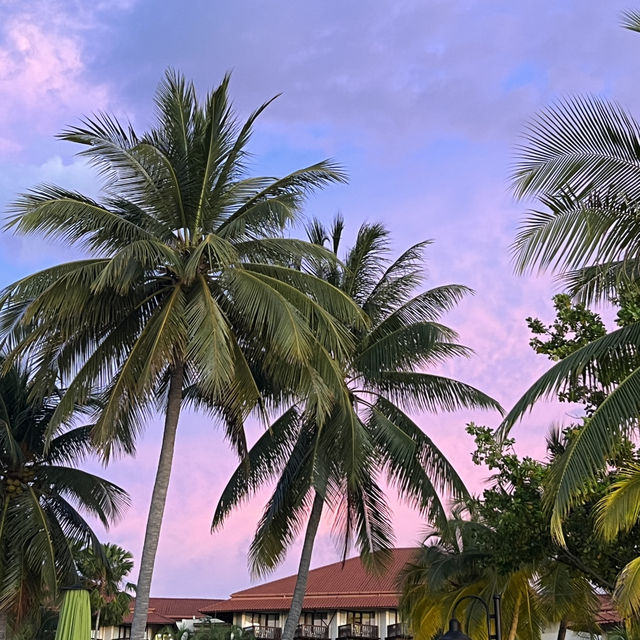 🌅세계 3대 선셋인 코타키나발루🏝️🇲🇾