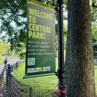 Summer at Central Park, New York 💚